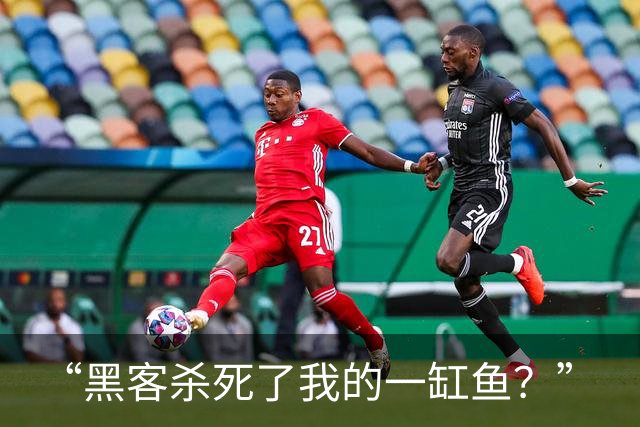 “黑客杀死了我的一缸鱼？”