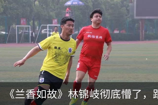 《兰香如故》林锦岐彻底懵了，跟兰香一夜竟给董清竹做了嫁衣？