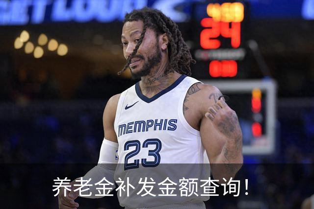 养老金补发金额查询！