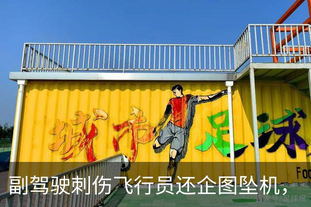 副驾驶刺伤飞行员还企图坠机，“水管工”冲进驾驶舱救人：我看过《空中浩劫》；总理称他英雄，特朗普直呼不可思议