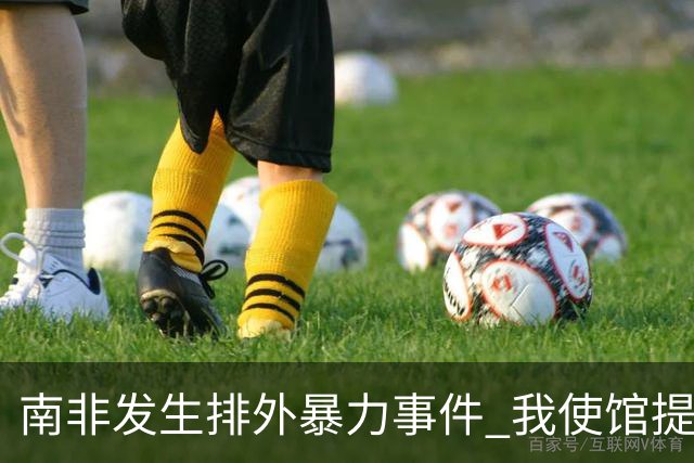 南非发生排外暴力事件 我使馆提醒公民加强防范