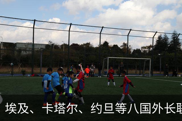 埃及、卡塔尔、约旦等八国外长联合呼吁以色列立即履行义务 停止一切侵犯行为 呼吁推动落实“两国方案”