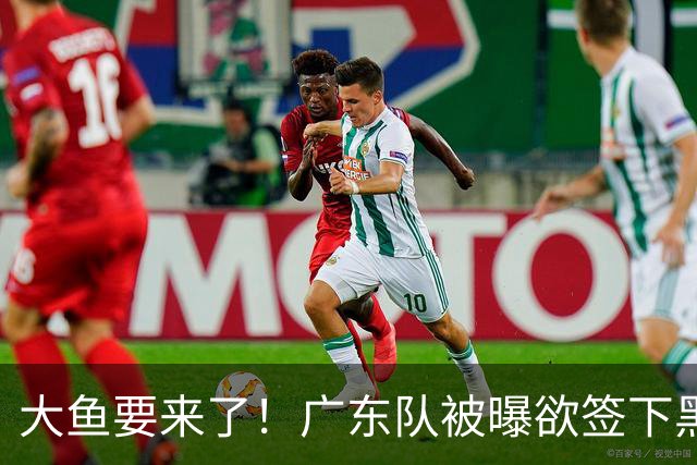 大鱼要来了！广东队被曝欲签下黑硬中锋，力保亚帅进总决赛？
