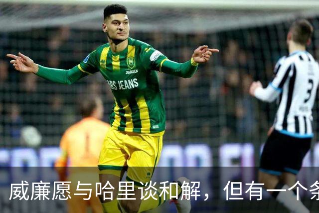 威廉愿与哈里谈和解，但有一个条件，梅根必须停止拉扯凯特和孩子