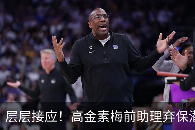 层层接应！高金素梅前助理弃保潜逃，第10名共犯落网，黑帮投案藏猫腻