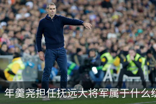 年羹尧担任抚远大将军属于什么级别？与大学士和军机大臣相比如何？