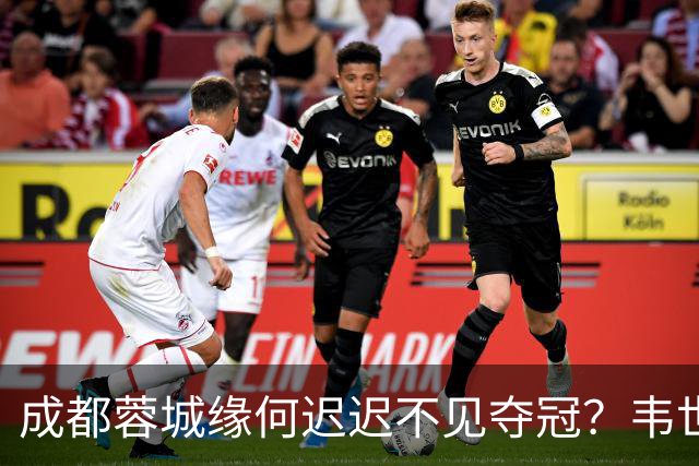 成都蓉城缘何迟迟不见夺冠？韦世豪们挖好的坑，需要一点点填平