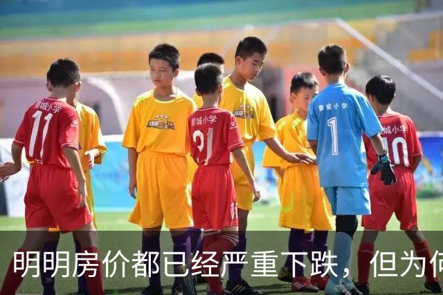 明明房价都已经严重下跌，但为何很多普通人还是买不起、不敢买呢？