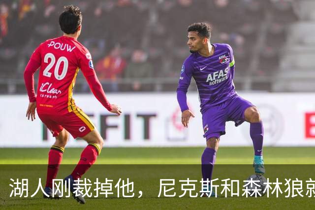 湖人刚裁掉他，尼克斯和森林狼就盯上了