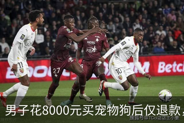 男子花8000元买宠物狗后仅退款，商家驱车600公里上门寻狗