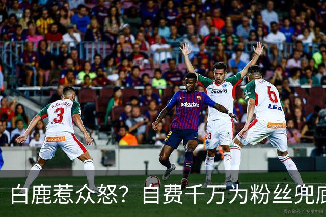 白鹿惹众怒？自费千万为粉丝兜底遭围攻，看清内幕才知她有多清醒
