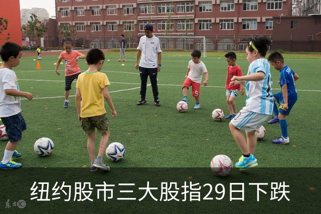 纽约股市三大股指29日下跌