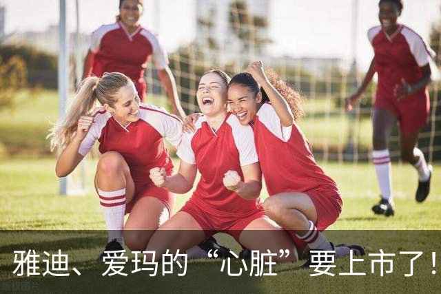 雅迪、爱玛的“心脏”要上市了！高标科技年入20亿，背后还站着雷军