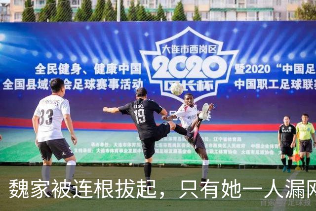 魏家被连根拔起，只有她一人漏网，缅北“第一美人”魏榕藏身何地