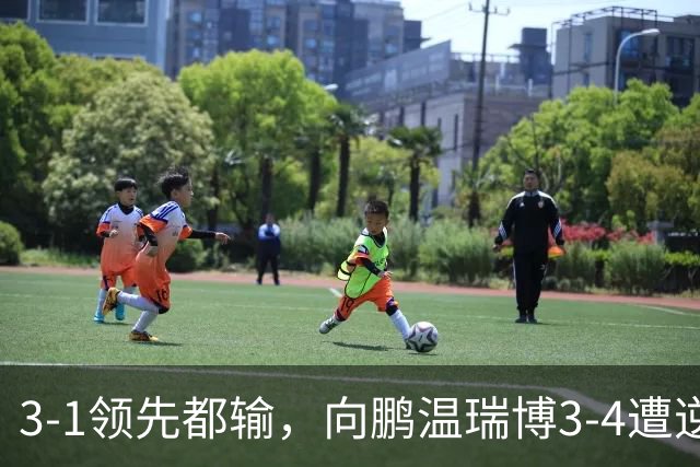 3-1领先都输，向鹏/温瑞博3-4遭逆转，无缘亚运会乒乓球男双决赛