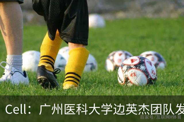 Cell：广州医科大学边英杰团队发现，癌细胞通过竞争维生素B2来驱动T细胞铁死亡，提出改善癌症免疫治疗新思路